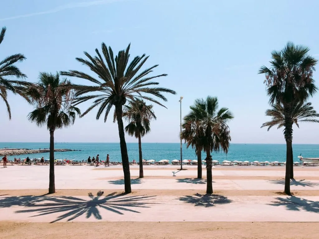 The Best Ways to Enjoy The Summer Season in Barcelona